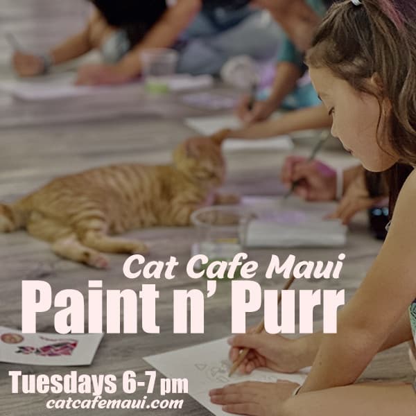 Paint n ‘ Purr