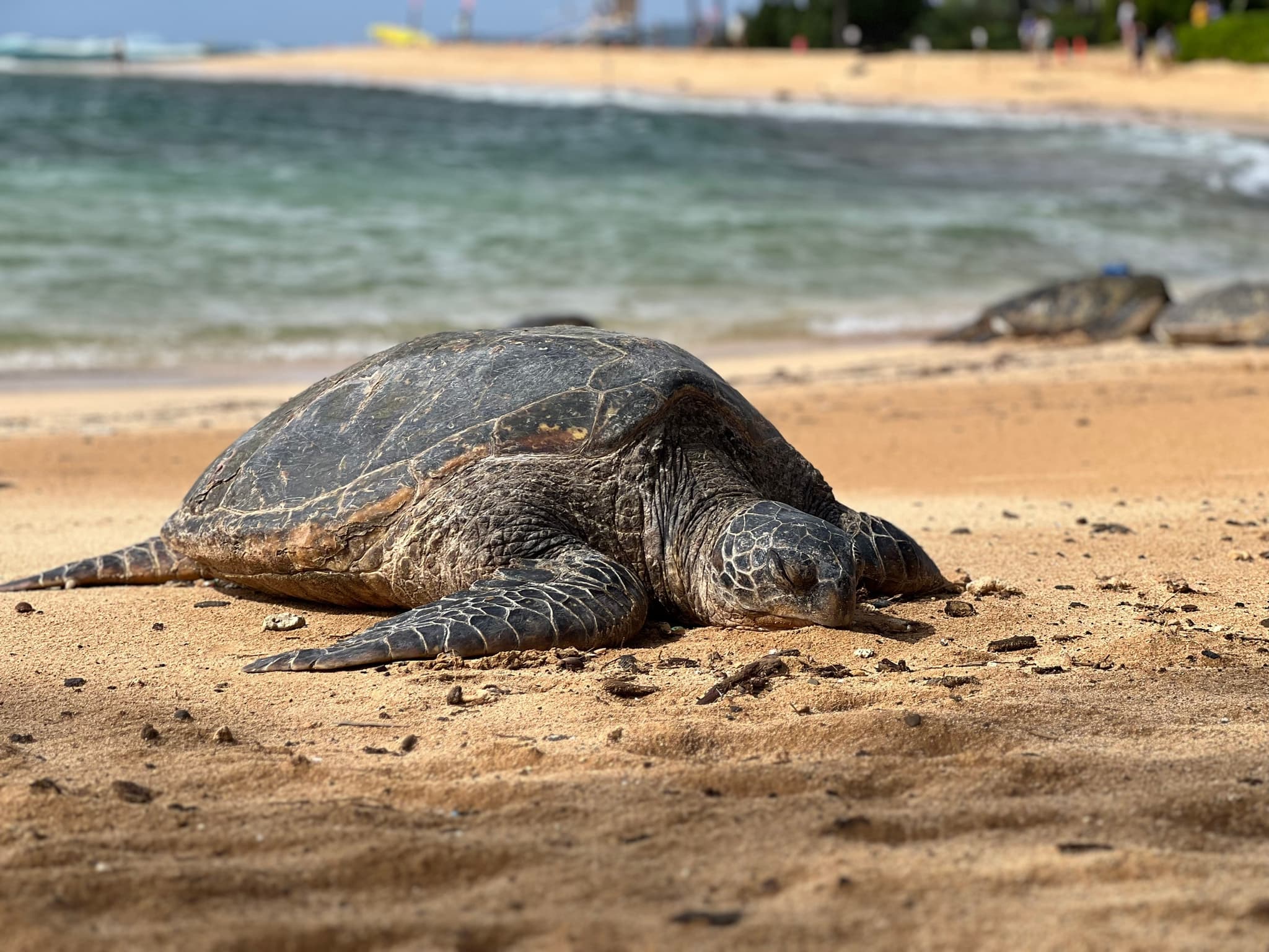 2-Tank Discover SCUBA - Koloa Landing