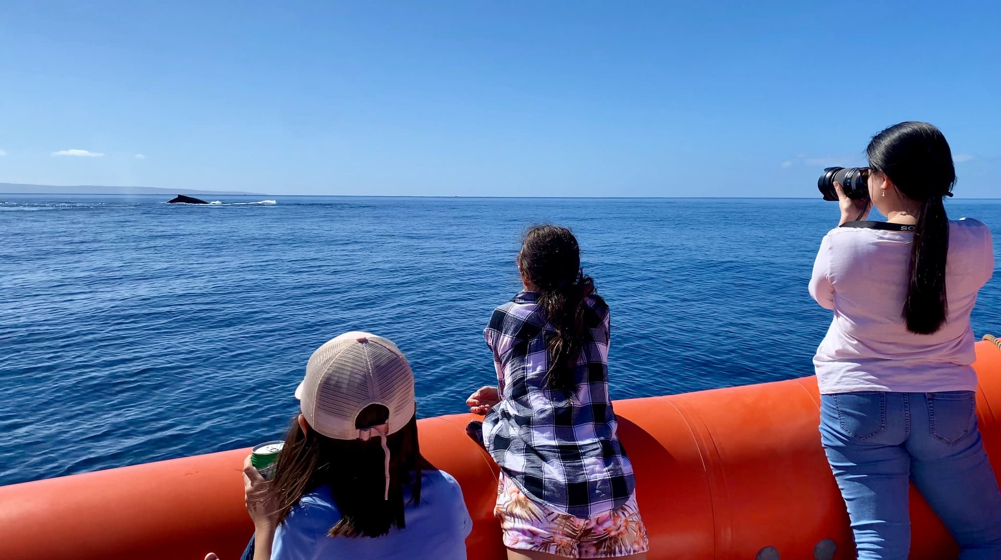 2 HOUR Whale Watch Photography Expedition *Private Charter*