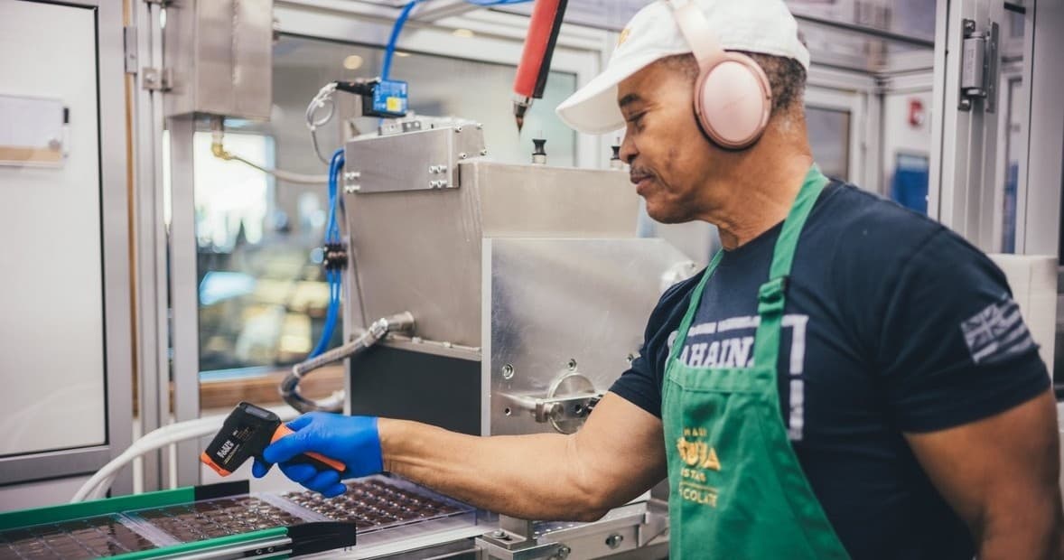 Cacao Farm and Factory Experience