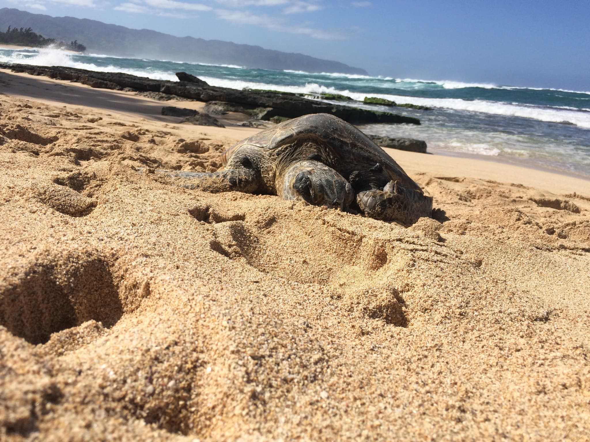 Narrated History Tour of Oahu