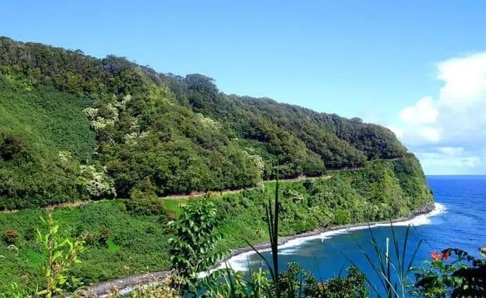 Road to Hana Adventure Tour (M2)
