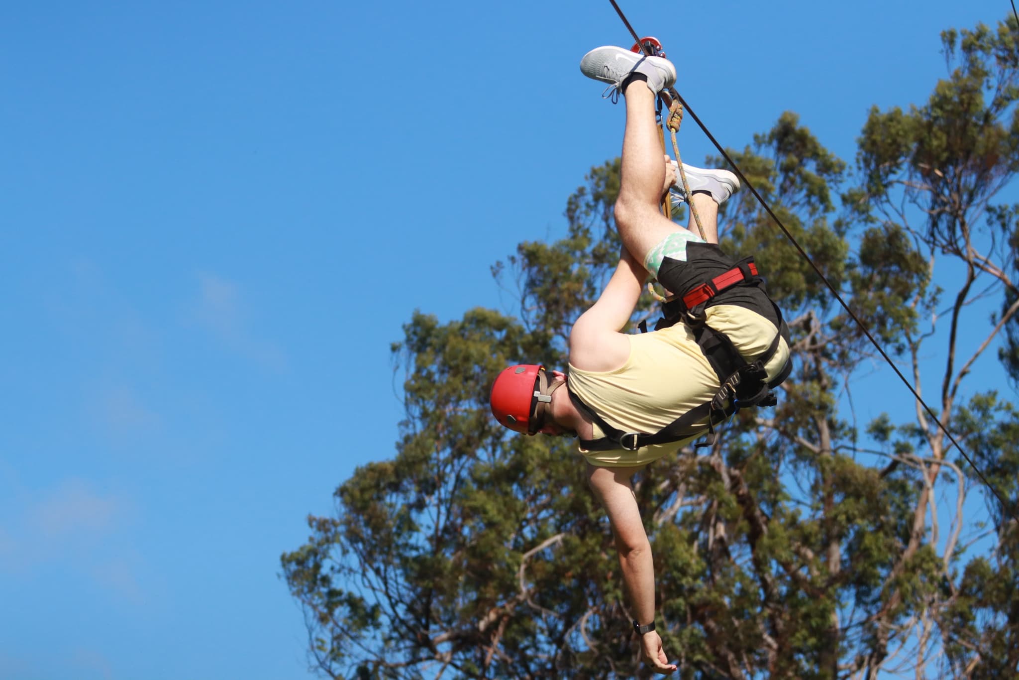 Pride of America • North Shore Maui Zipline Tour