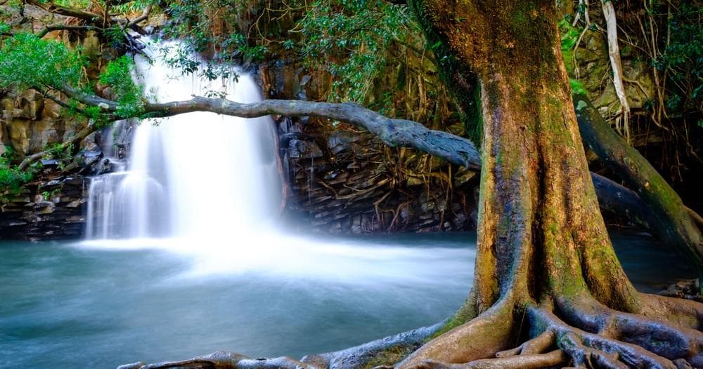 Private Halfway to Hana VIP Tour