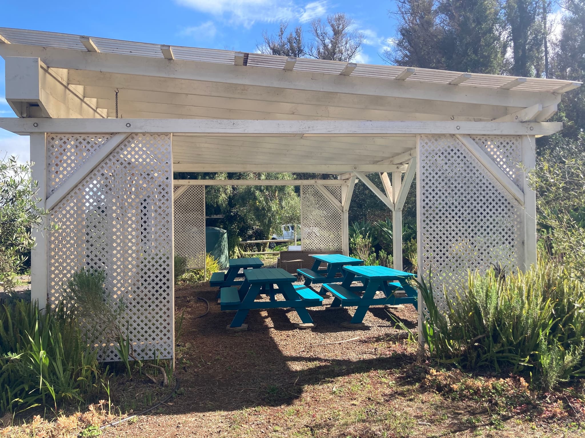 Covered Tea Picnic Table Rental