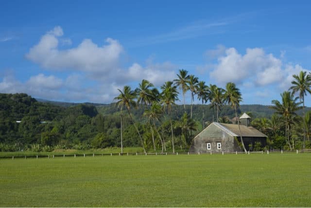 1/2 Day VIP Private North Shore Waterfall Tour