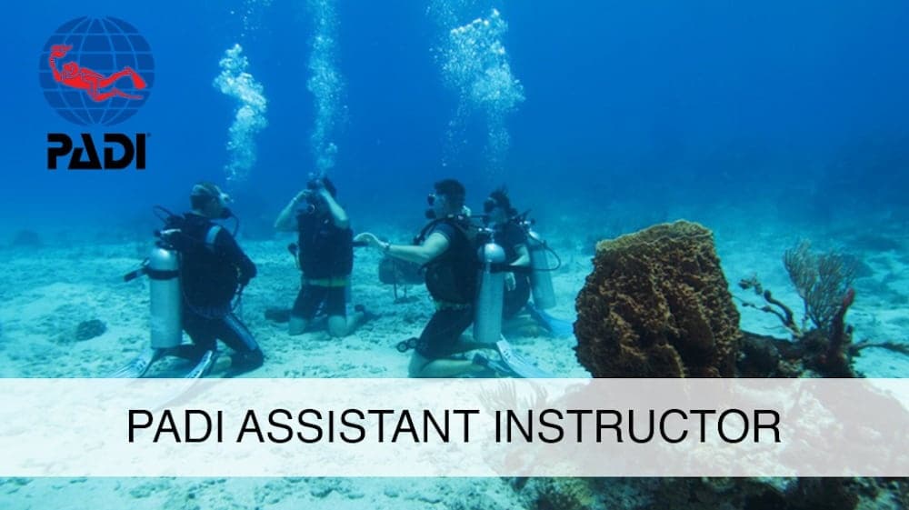 PADI Instructor Development Course