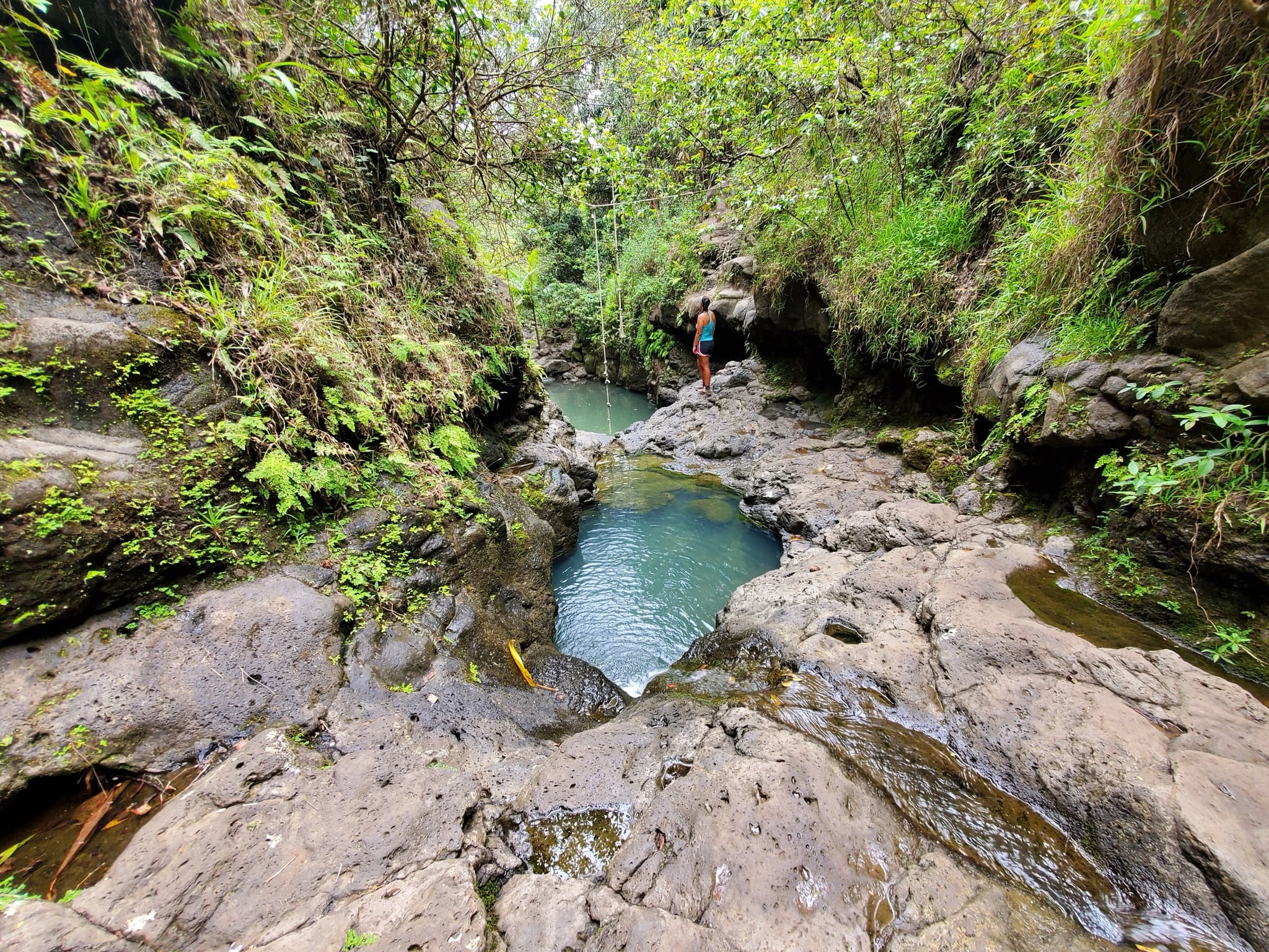 Rope Swings & Waterfalls