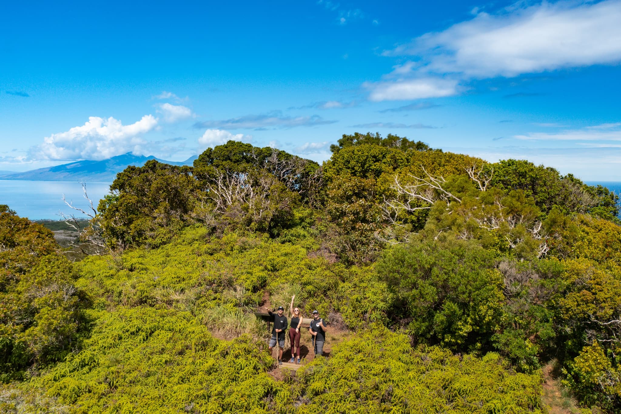 Honolua Ridgeline Hike: A Conservation Experience