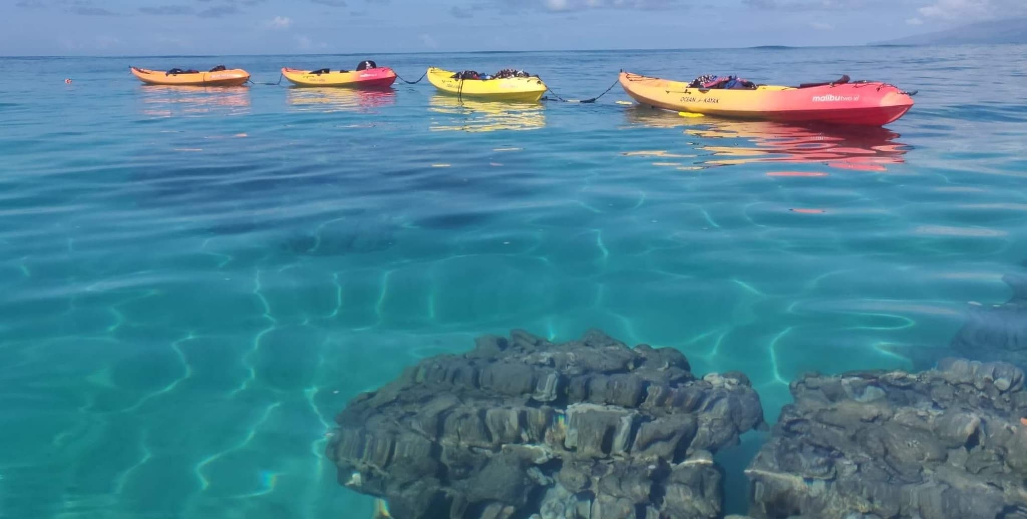 Wailea Coastline Discovery