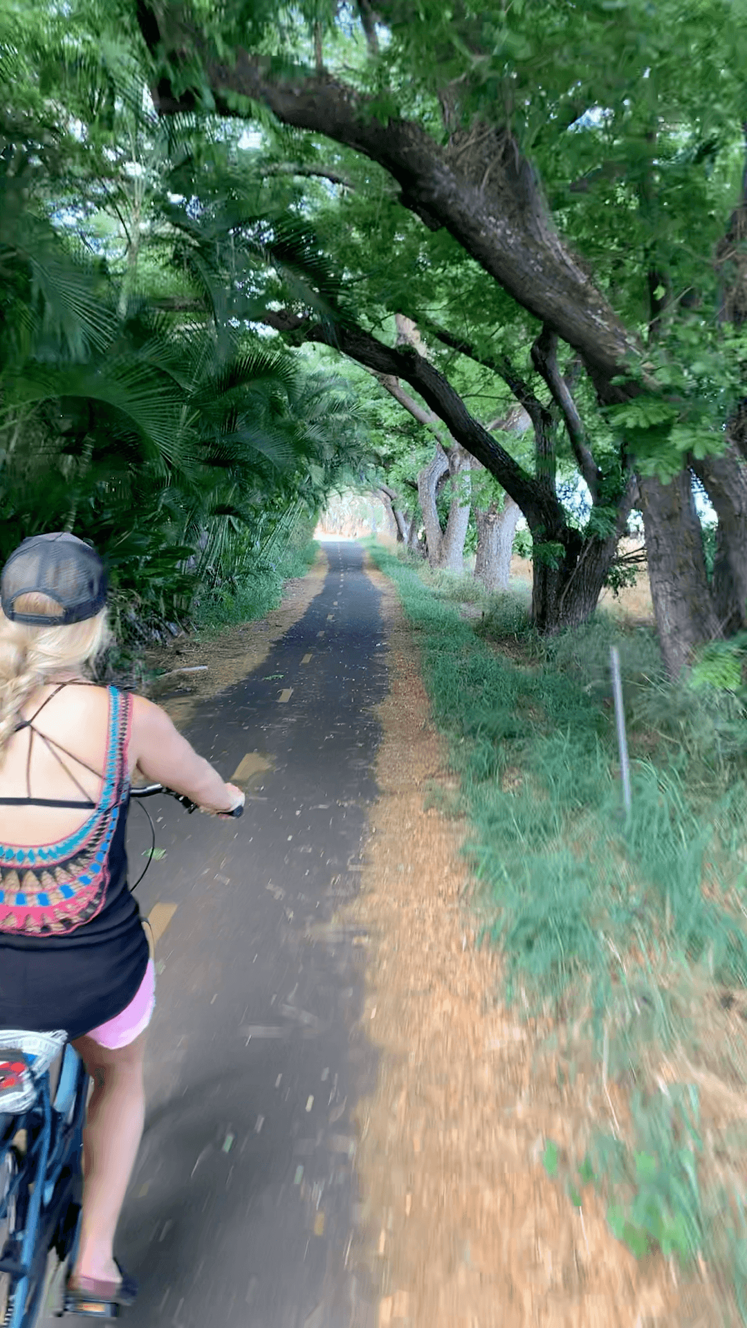 Paia Guided E-Bike Tour