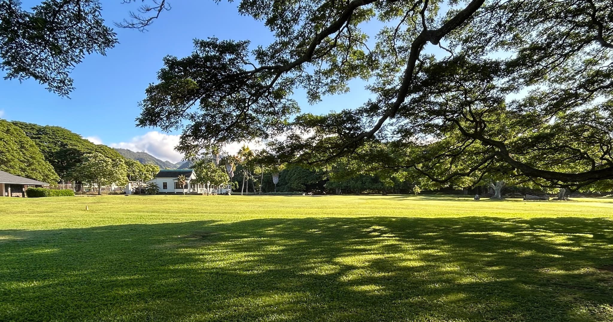 Forest Bathing at Moanalua Gardens