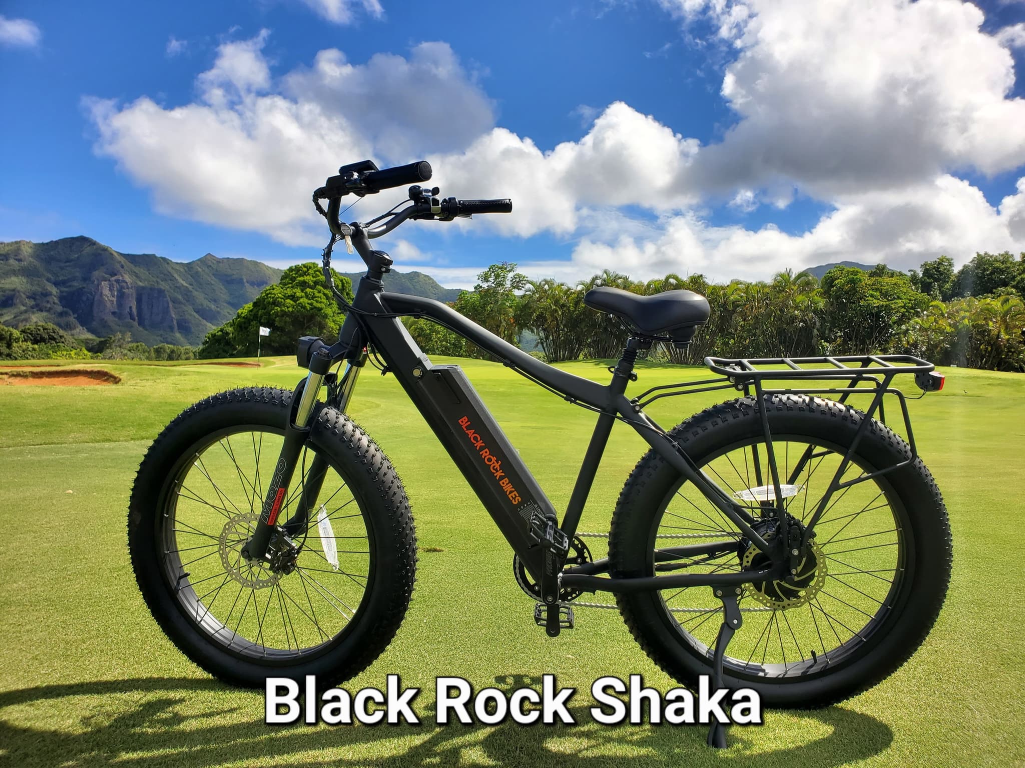 Four Hour Ebike Rental