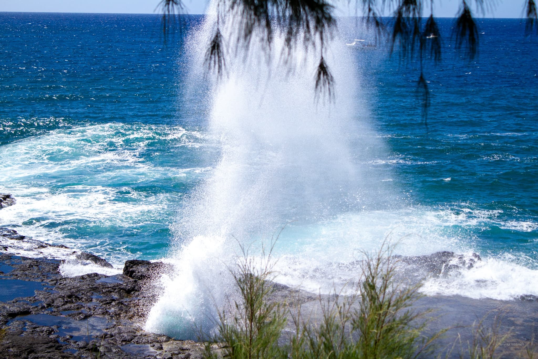 Kauai Private Island Shuttles - 4 & 6 hour custom shuttles