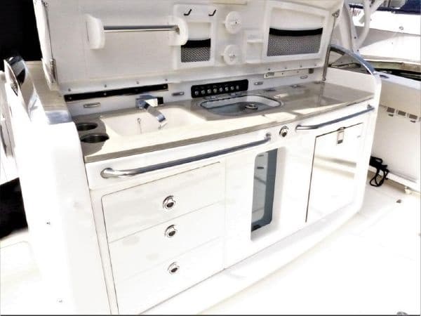 Maui Luxury Whale Watch