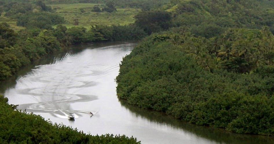 Waterski, Wakeboard on the Wailua River