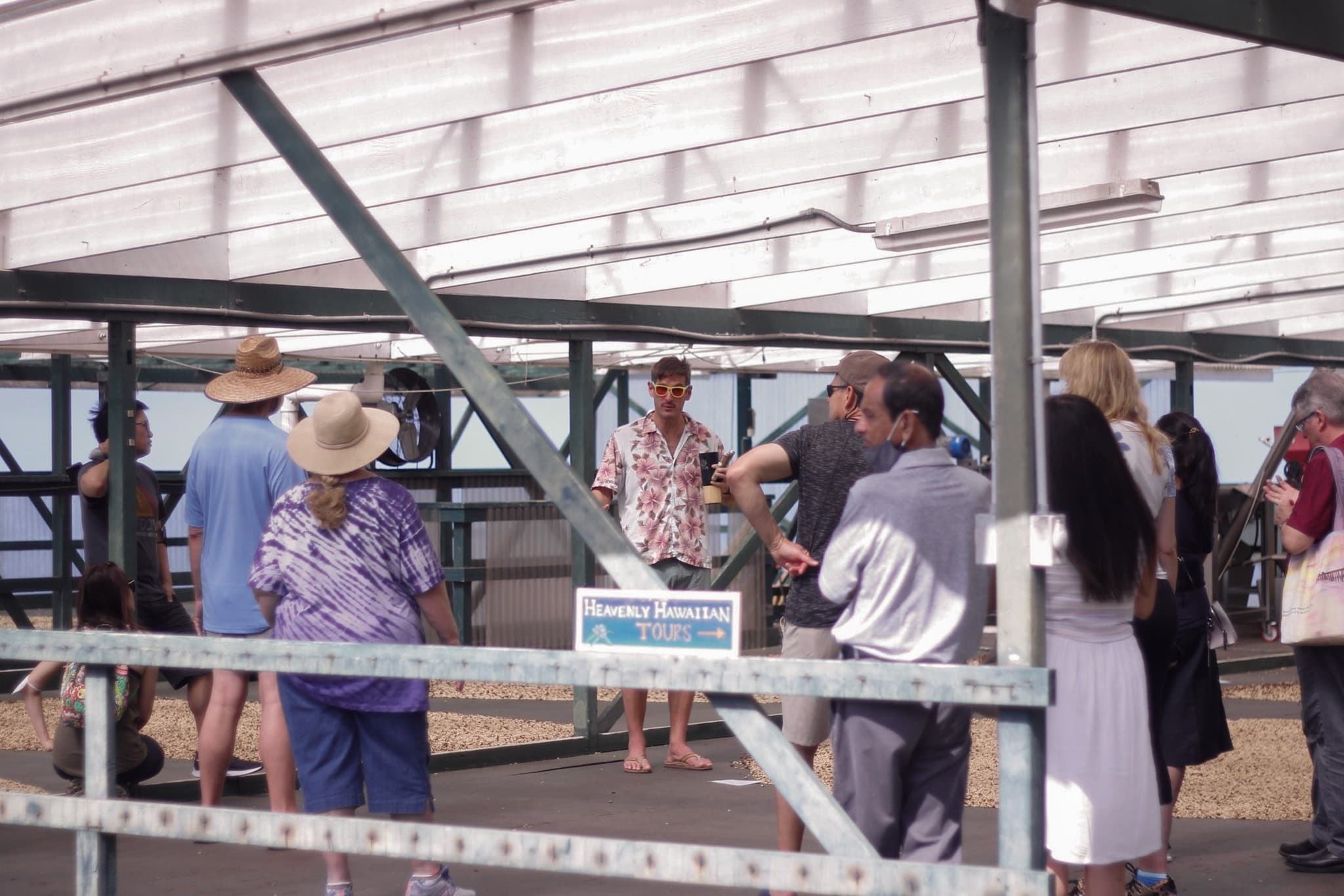 Kona Coffee Farm Tour