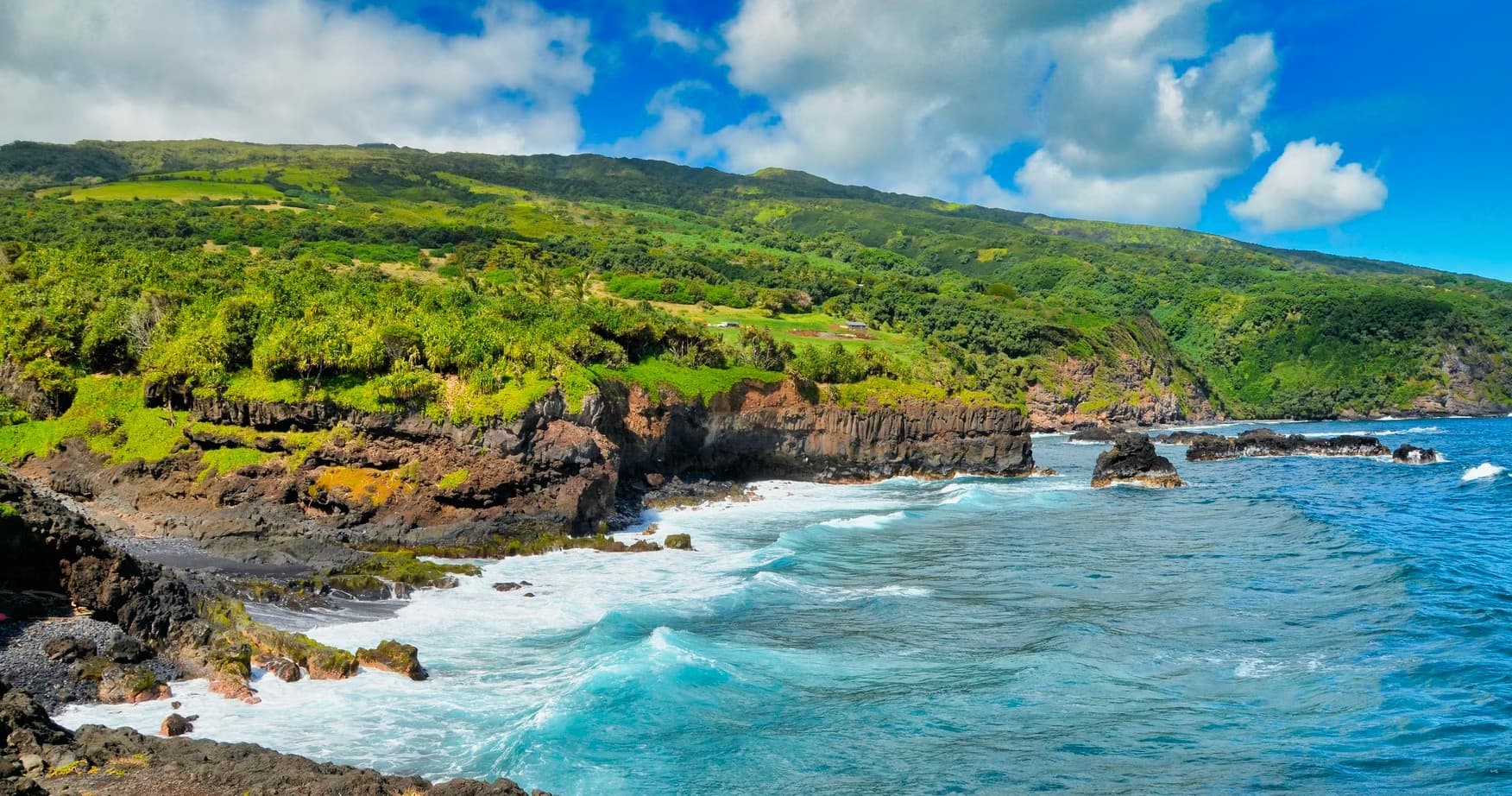 Private Road to Hana Tour Special!