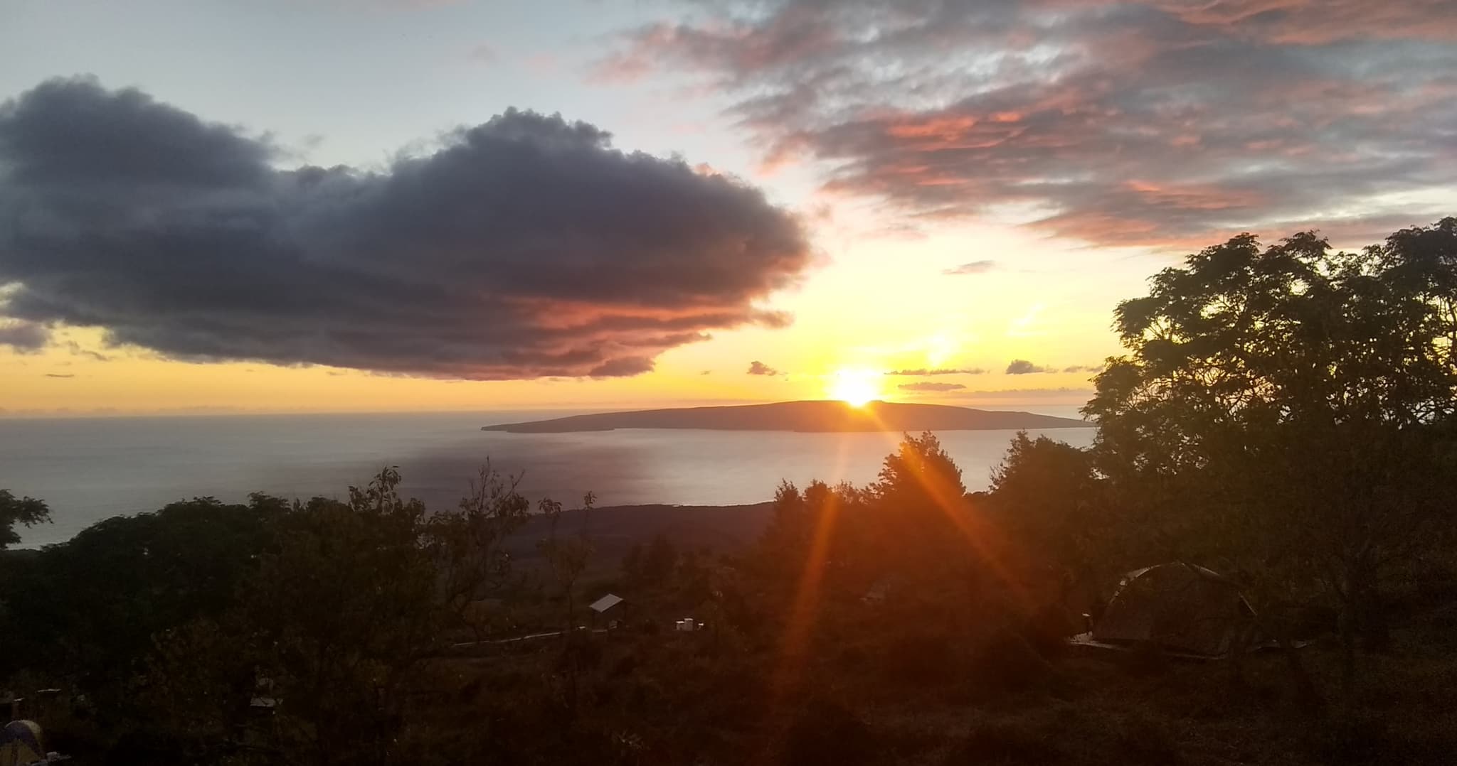 īao Valley Upcountry Vodka Tasting & Goat 🐐 Farm Tours