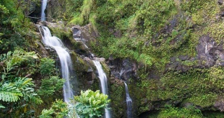 Ultimate Hana Full-Day Adventure Tour