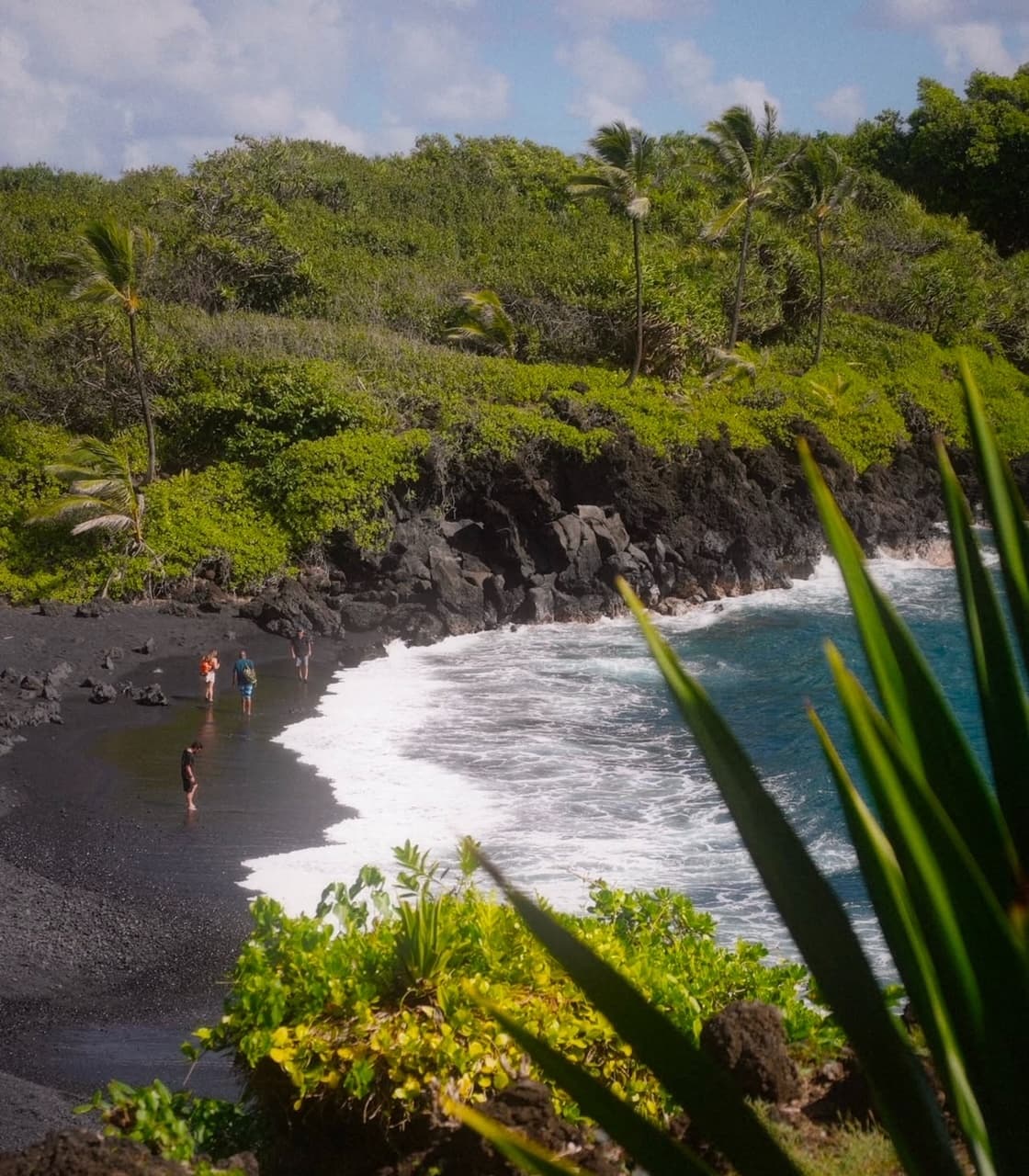 Maui’s Sea Turtles, Waterfalls and Road to Hana Adventure