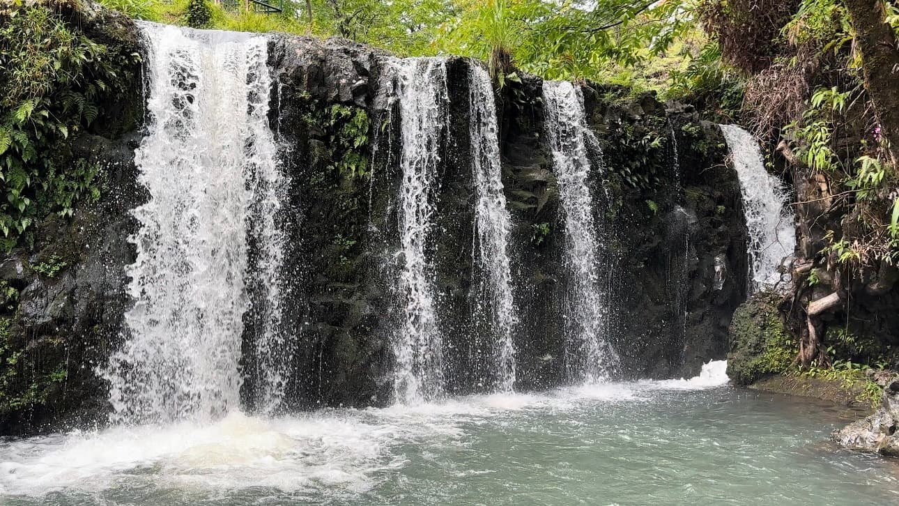 Private Road to Hana Maui Open-Air Jeep Tour
