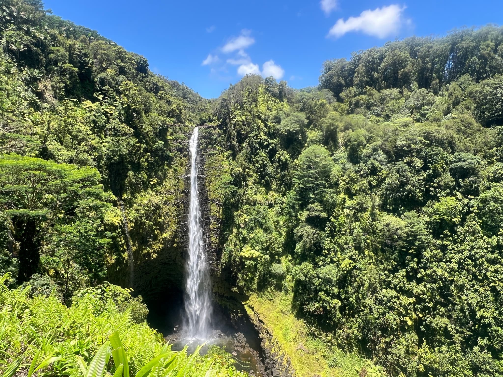 Choose Your Own Adventure From Kona