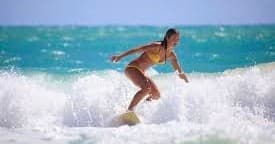 Catch Waves at Pine Trees 🏄🏻‍♂️