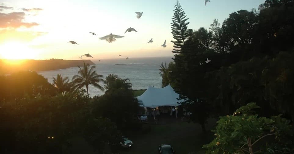 Friday Night Live at The Gardens