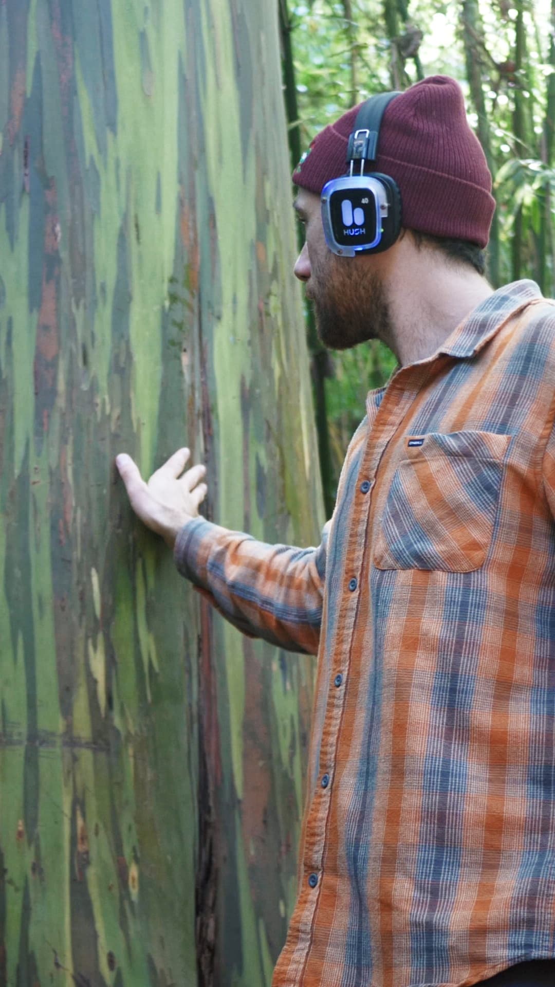 Exploring Within: A Music & Movement Journey in Nature (Sundays)