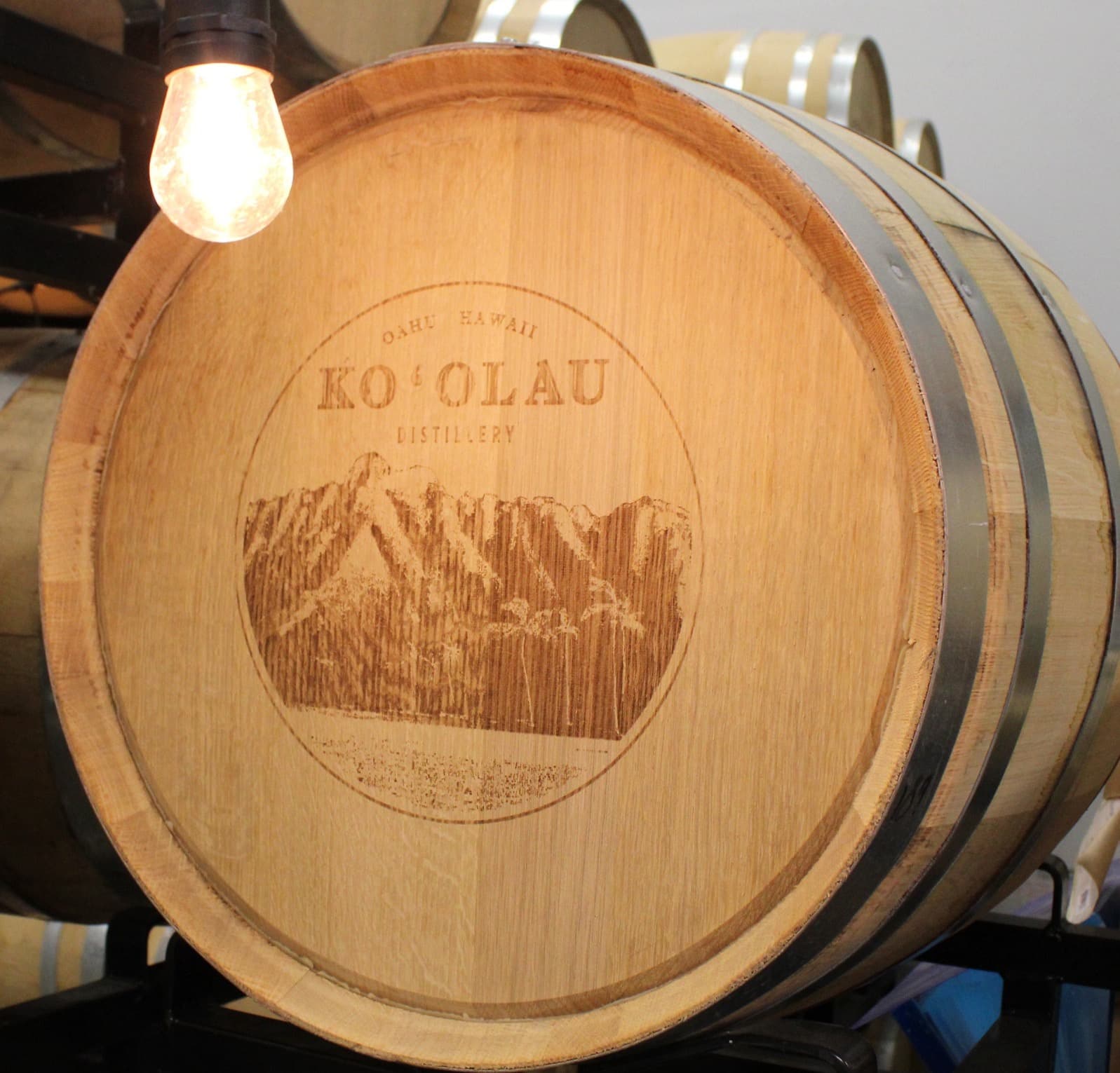Boozdayz - Oahu’s Spirited Journey: A Distillery Tour
