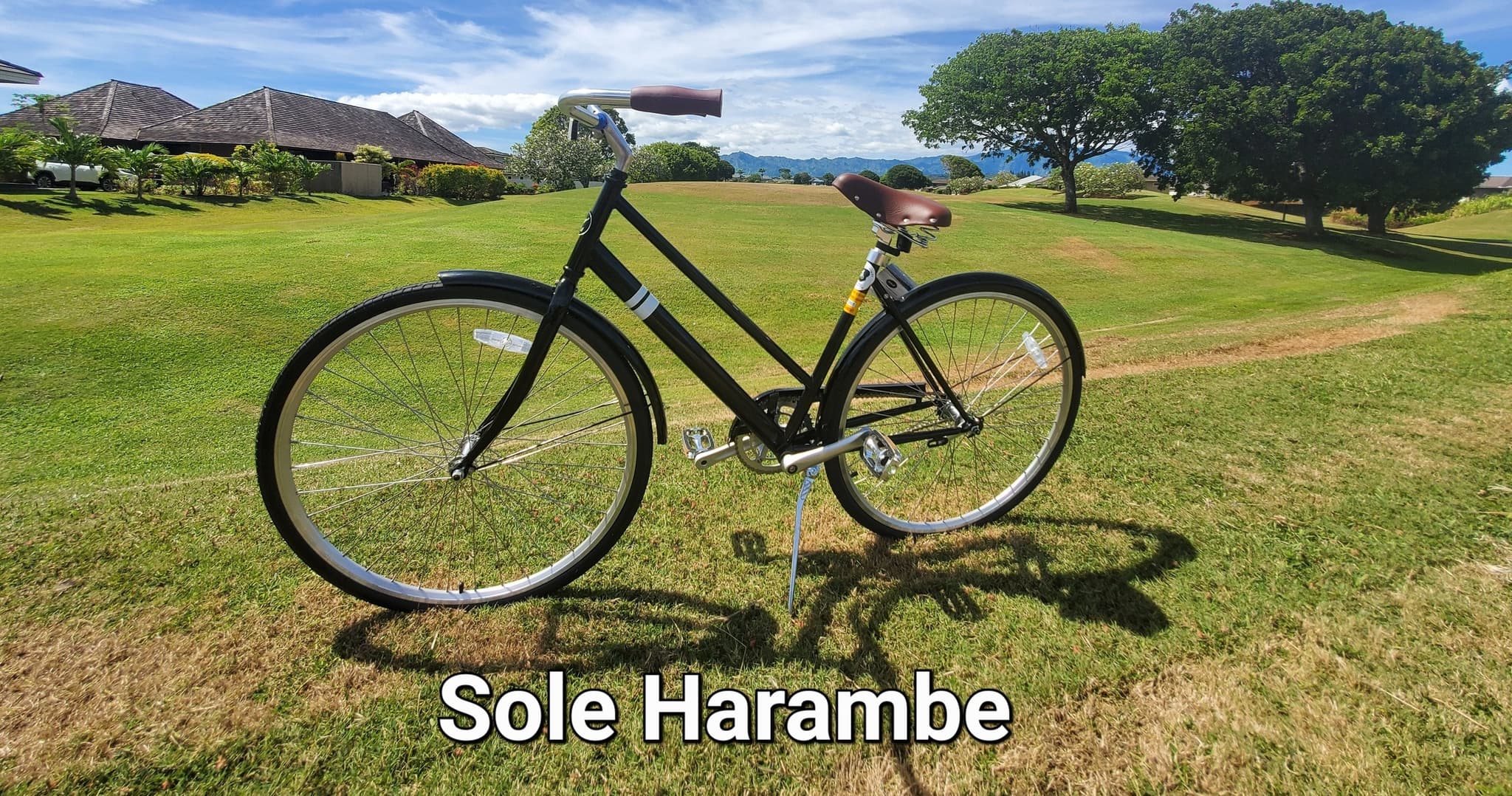 Two Hour single-speed bike