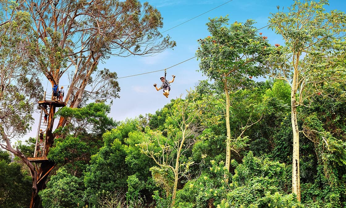 NorthShore Zipline Tour
