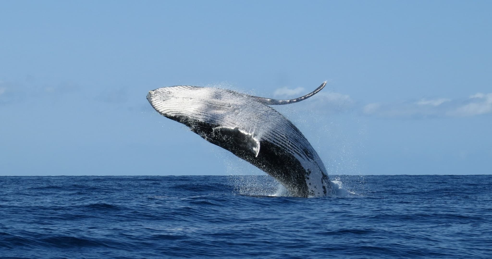 Sunset Cruise *Private Charter*