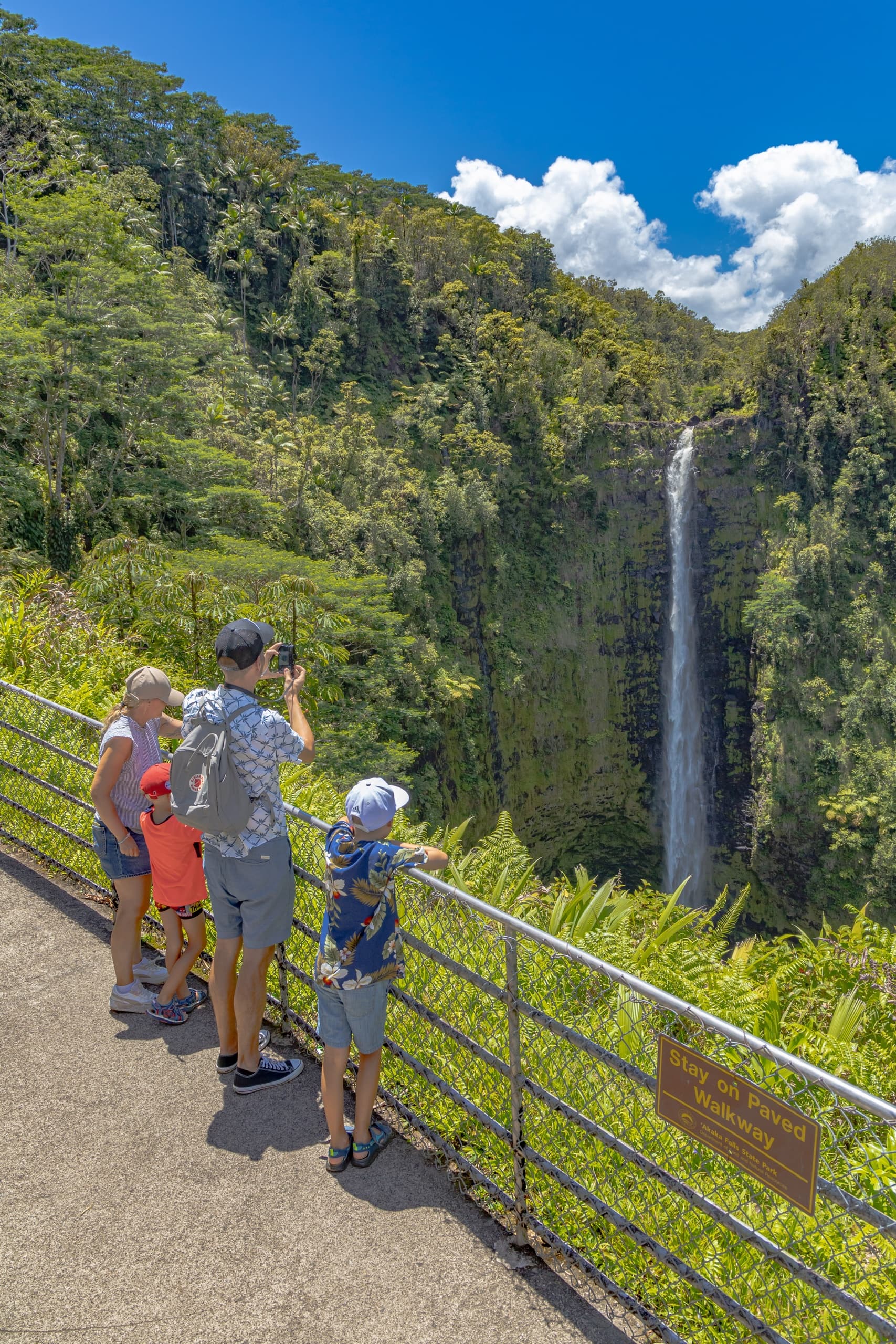 Hilo Cruise Ship Guest Special - Botanical Gardens, Waterfalls, and Farmers Market