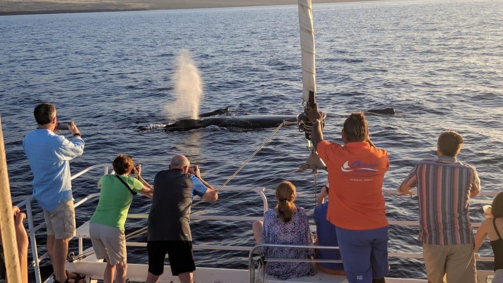 Pau Hana Sunset Cruise with the Whales departing Kawaihae Harbor