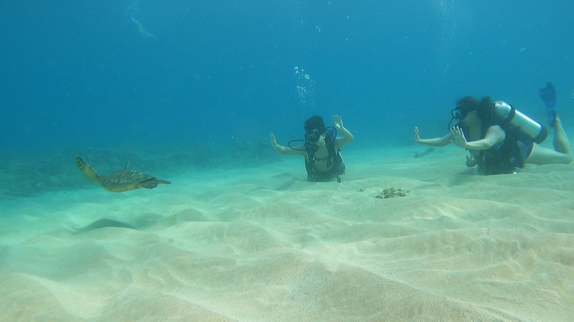 Private Discover Scuba