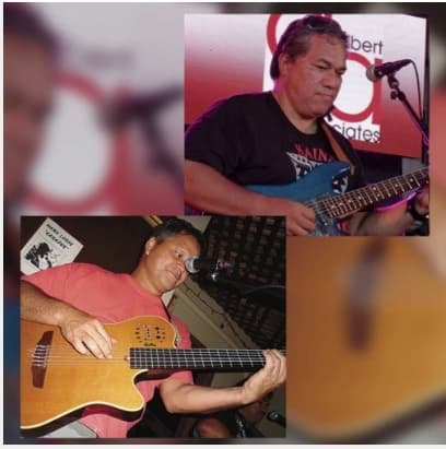 Hawaiian Music Series