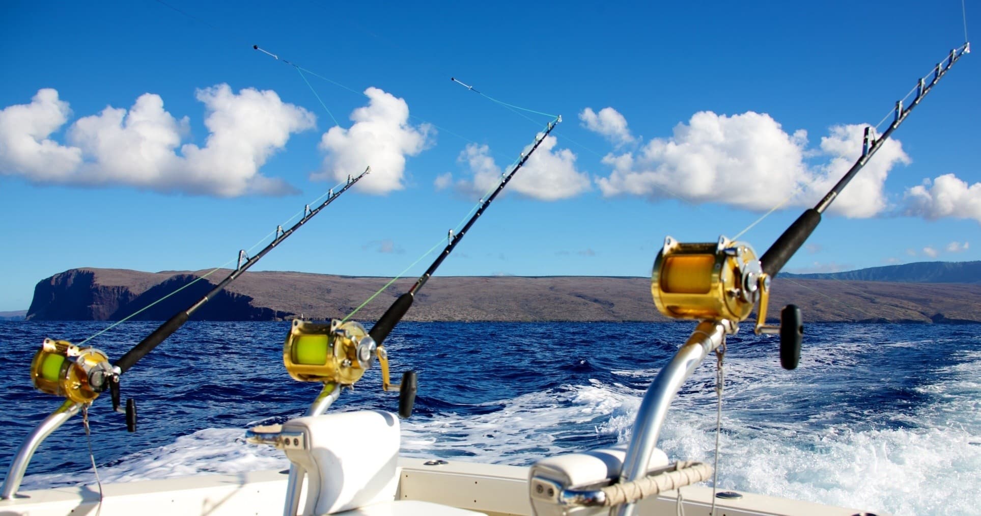 3/4 Day Charter Glacier Bay