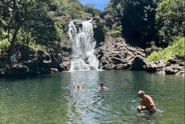 1/2 Day VIP Private North Shore Waterfall Tour