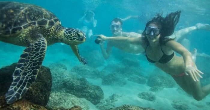 Canoe & Snorkel Adventure