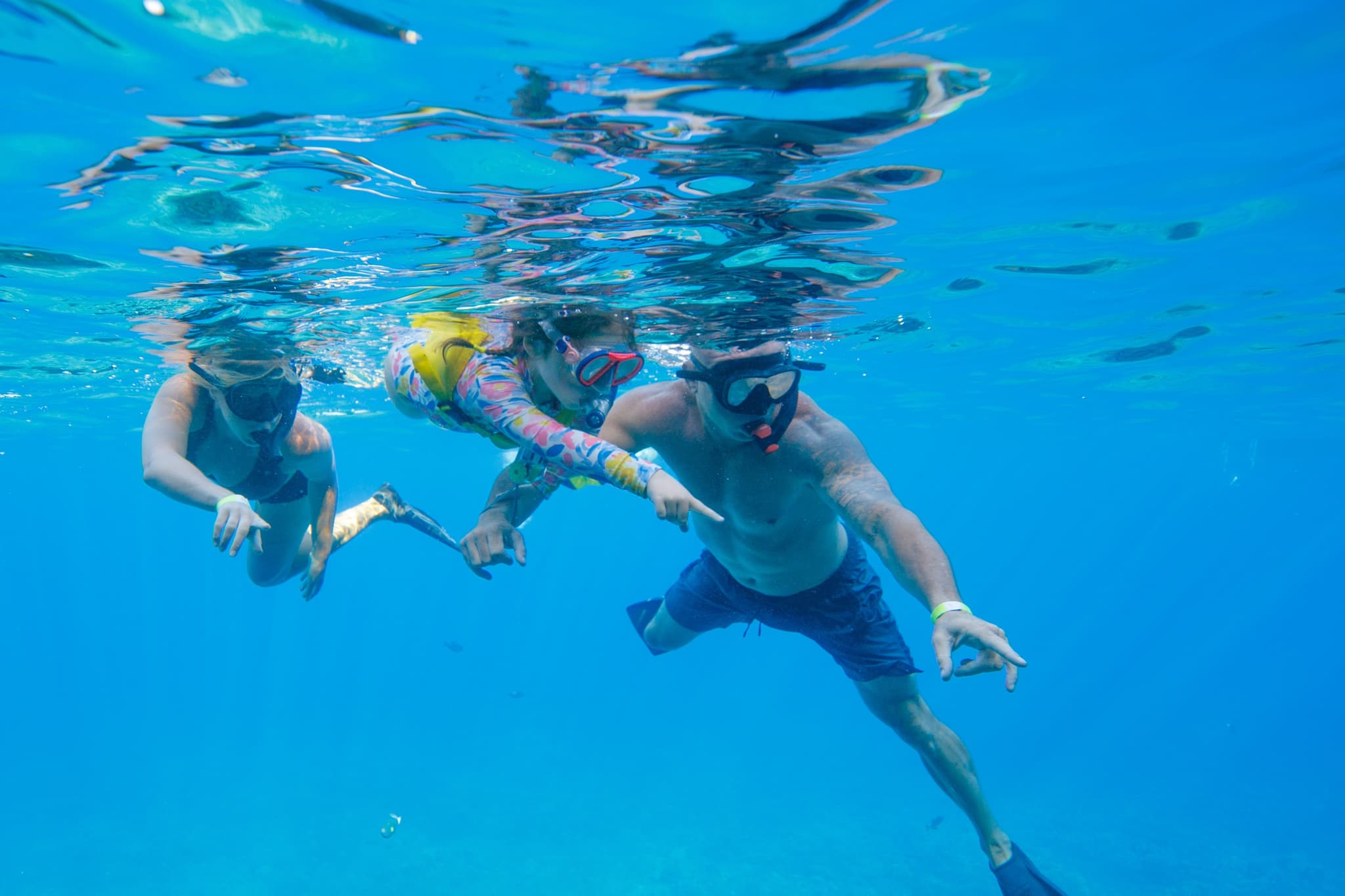 Molokini Crater Snorkel Adventure 2 Hours