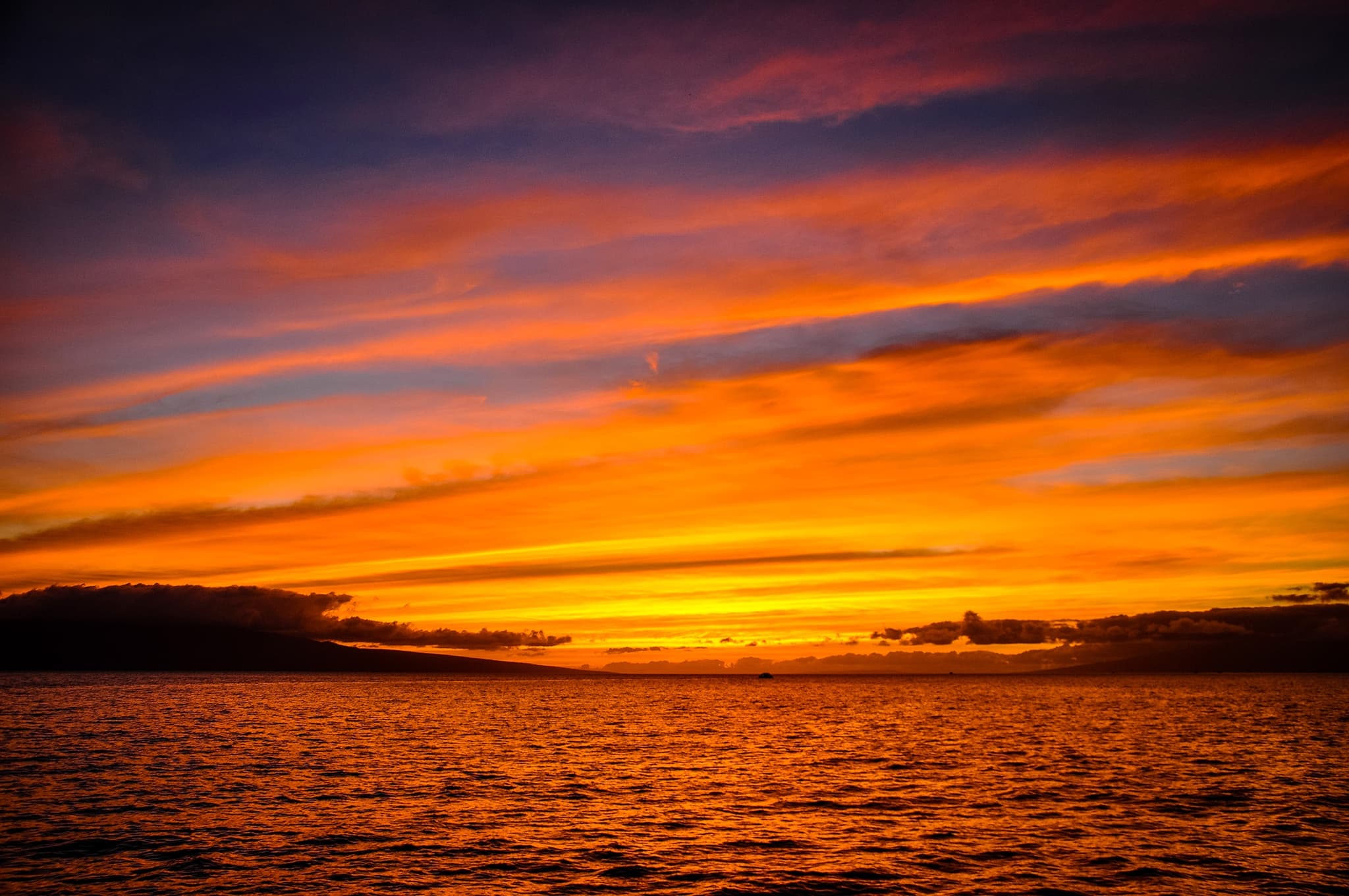 Pride of Maui: Fourth of July Cruise