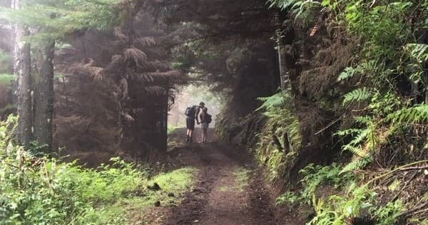 Half Day Hana Adventure: Luxury Expedition