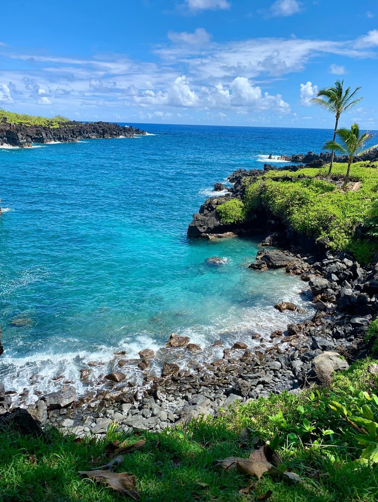 Private - Hana & Beyond Tour