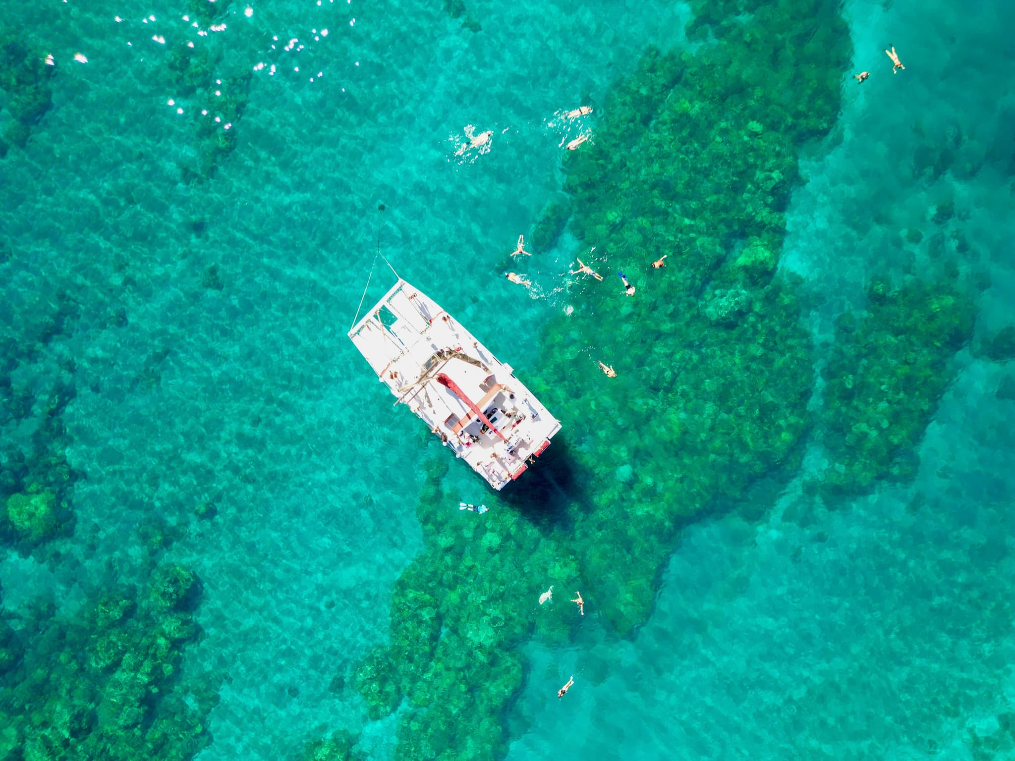 Discover the Magic of Coral Garden’s Turtle Town - 3 Hours