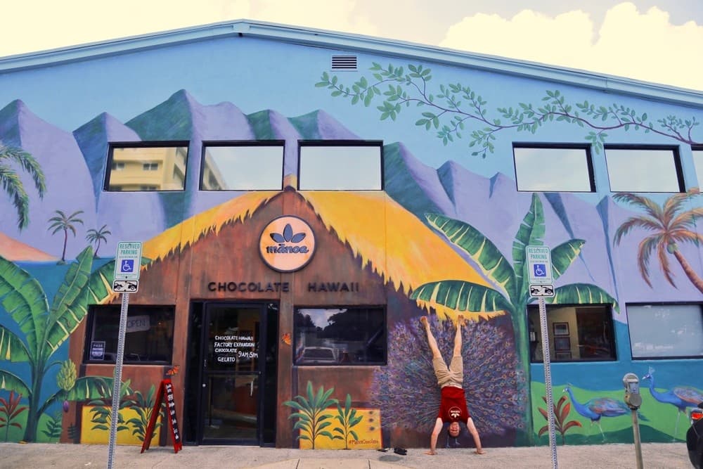 In-Depth Chocolate Education & Tasting Experience