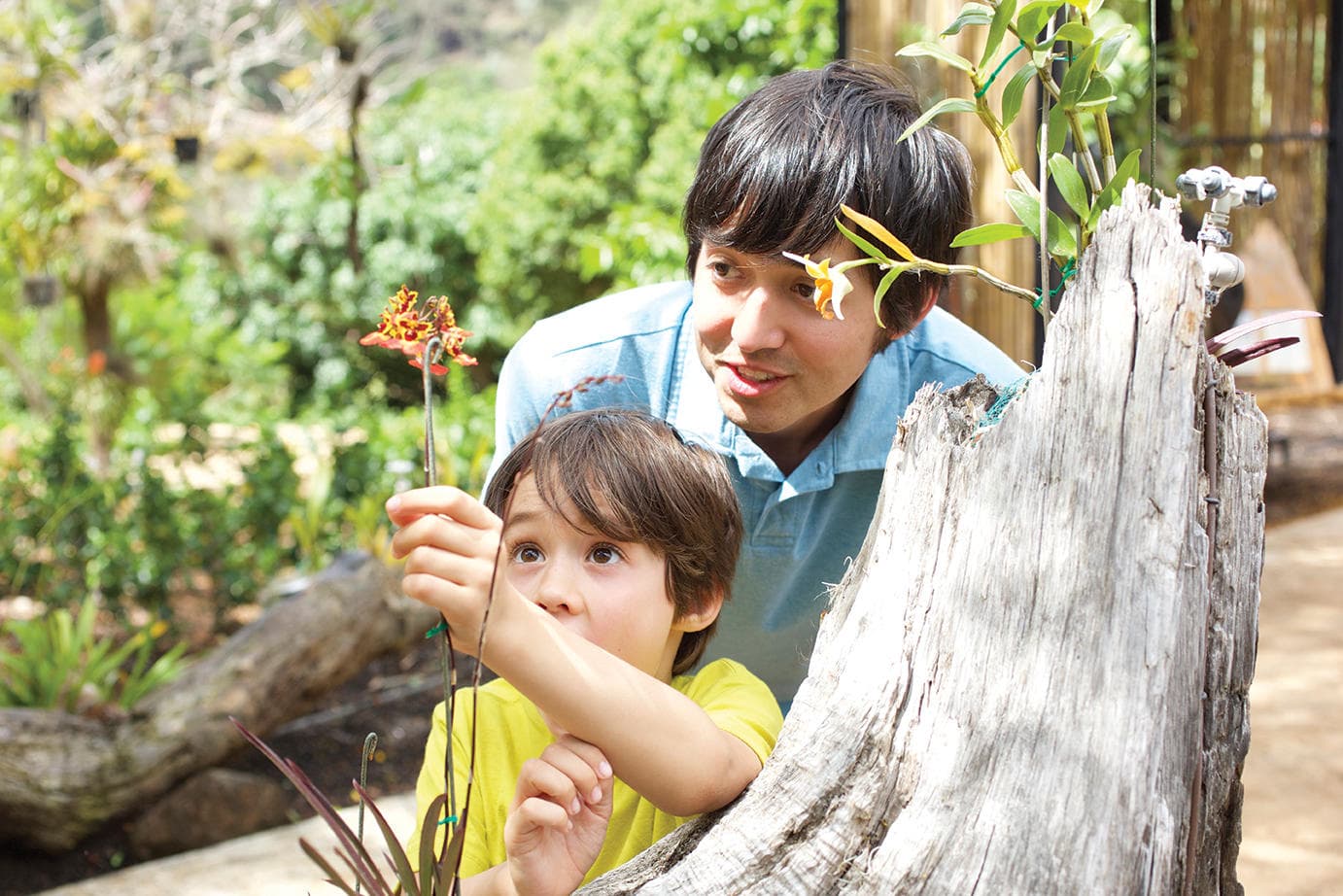 McBryde Garden Self Guided