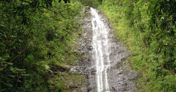 Hawaiian Beauty Package