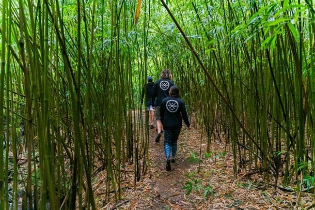 Half Day Private Tour